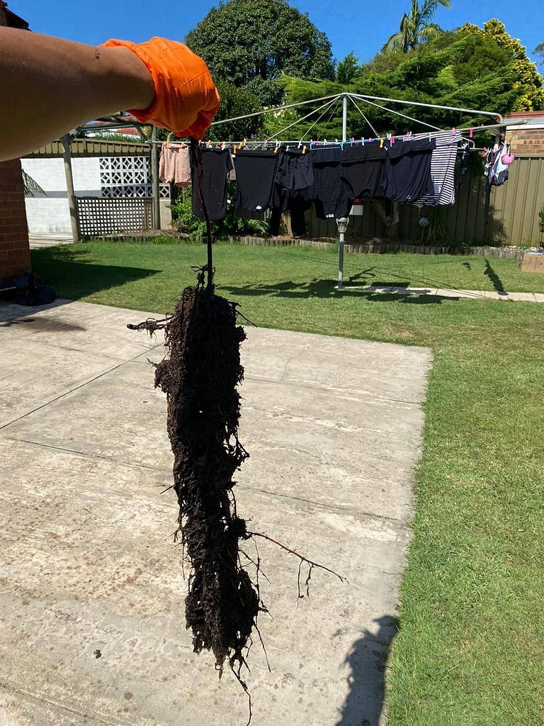 Plumber in Shoalhaven, NSW